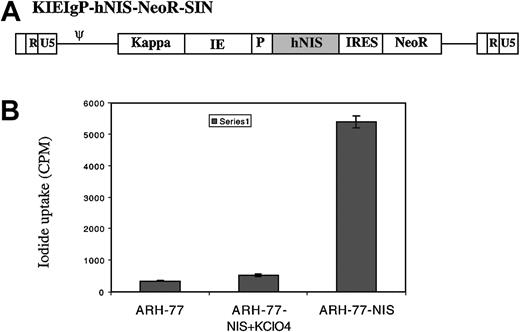 Figure 5. Targeted hNIS expression in myeloma cells with radioiodide uptake. A transcriptionally targeted lentivector coding for hNIS was generated as described in “Materials and methods.” (A) A single mRNA transcript under the control of the targeted promoter and enhancers is generated, coding for hNIS as well as neomycin phosphotransferase to allow selection of transduced cells. ARH-77 cells were transduced with the vector and selected in G418. (B) In vitro 125I uptake studies were performed on untransduced as well as transduced cells in the presence and absence of potassium perchlorate. The cells transduced with the vector concentrate radioiodine 18-fold compared with controls. Error bars indicate SD.