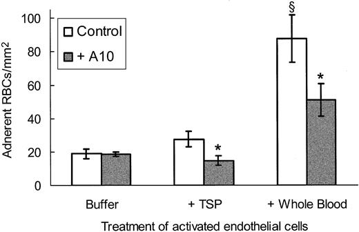 Figure 5. TSP-dependent sickle RBC adhesion to activated endothelial cells is inhibited by scFv TSP-A10. Cytokine-stimulated endothelial cells were incubated with SFM-BSA (buffer) or TSP in SFM-BSA (5 μg/mL, TSP, whole blood) with (▦) or without (□) purified scFv TSP-A10 (2.3 μg/mL) for 20 minutes at 37°C as described in “Materials and methods.” Washed sickle RBCs (buffer, TSP) or whole blood was perfused over the treated endothelial cells and rinsed, and adherent RBCs were counted as described in Figure 3. The results are shown as the means ± SEs of adherent RBCs/mm2 (n = 3 for buffer, n = 5 for TSP and whole blood). The * indicates a P value less than .005 comparing TSP-A10–treated assays with control assays, and σ indicates a P value of .01 or less comparing whole blood with either buffer or TSP under control conditions.