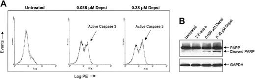 Figure 4. Effect of depsipeptide on caspase 3 activation and PARP cleavage. (A) Depsipeptide treatment results in activation of caspase 3 as assessed by flow cytometry with the use of a PE-directed antibody specific for the active cleavage product of caspase 3. Depsipeptide in human CLL cells activates caspase 3. CLL cells were treated with media or depsipeptide (0.038 and 0.38 μM) for 4 hours and subsequently incubated in media for 20 hours. Cells were washed, permeated, and stained with a PE-directed antibody specific for the active cleavage product of caspase 3. (B) Depsipeptide treatment results in cleavage of PARP. Depsipeptide-mediated apoptosis promotes processing of PARP. To determine if depsipeptide treatment caused alteration of a caspase 3 substrate, we examined both the unprocessed and the processed forms of PARP in fresh human CLL cells at 24 hours following a 4-hour incubation of CLL cells with media, 0.038 μM depsipeptide, or 0.38 μM depsipeptide. Protein lysates were prepared, and 50 μg protein per lane was separated on a 14% SDS-PAGE gel. Loading equivalence was confirmed by blotting with an antibody for constitutively expressed protein GAPDH. PARP and its cleaved product were detected by means of an anti-PARP polyclonal antibody.