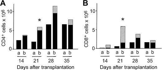 Figure 5. Derivation of splenic CD4+ and CD8+ cells following allogeneic CLP cotransplantation. Mean splenic CD4+ (A) and CD8+ (B) count and derivation of mice that received HSC transplants (bar a) and mice that received CLP cotransplants (bar b) (n = 5-9 mice in each group per time point). ▦ indicates CLP-derived CD4+ or CD8+ cells; and •, non-CLP-derived cells. *P = .01 for non-CLP-derived cells.
