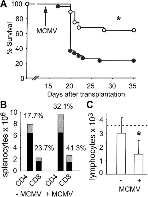 Figure 6. Allogeneic CLP cotransplantation protects thymus-bearing hosts from lethal MCMV disease. (A) Thymus-bearing mice received transplants of 500 LT-HSCs alone (•; n = 30, 23% survival) or 500 LT-HSCs and 3000 CLPs (○; n = 28, 64% survival). *P < .0001 (• versus ○). (B) Mean splenic CD4+ and CD8+ count on day 35 after CLP cotransplantation in uninfected mice (–MCMV) (n = 9) or in surviving mice after MCMV infection (+MCMV) (n = 4). ▦ indicates percentages of CLP-derived cells; and •, non-CLP-derived cells (host- and HSC-derived). (C) Absolute blood lymphocyte counts on day 35 after CLP cotransplantation in uninfected mice (–MCMV) (n = 9) or in surviving mice after MCMV infection (n = 8). The dotted line indicates the lower normal limit. Mean ± SD. *P = .01.