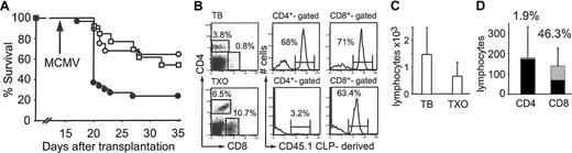 Figure 7. Thymectomized hosts are protected from lethal MCMV disease after allogeneic CLP cotransplantation. (A) Thymus-bearing (TB; ○;n = 28, 64% survival) or thymectomized (TXO; □;n = 13, 54% survival) mice received transplants of 500 LT-HSCs and 3000 CLPs and compared with thymus-bearing mice that received transplants of 500 LT-HSCs alone (•;n = 30, 23% survival). P = NS (○ versus □). (B) FACS analysis of spleen on day 35 following CLP cotransplantation. (C) Absolute blood lymphocyte counts (mean ± SD) on day 35 in thymus-bearing (n = 8) and thymectomized (n = 7) mice that received CLP cotransplants and survived MCMV infection. P = NS. (D) CD4+ and CD8+ count in blood (mean ± SD) on day 35 in thymectomized mice that received CLP cotransplants that survived MCMV infection (n = 7). ▦ indicates percentages of CLP-derived cells; and •, non-CLP-derived cells.