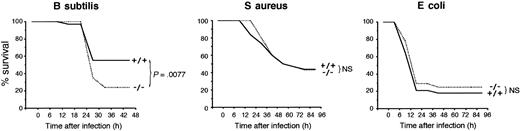 Figure 2. PGRP-S-/- mice have lower survival following intraperitoneal infection with B subtilis but not S aureus and E coli. Mice were injected intraperitoneally with 4 × 109 B subtilis (n = 58/group; left panel), 1 × 109 S aureus (n = 32/group; middle panel), or 3 × 108 E coli (n = 28/group; right panel), and their survival was monitored for 10 days. The significance of differences in the survival of PGRP-S+/+ and PGRP-S-/- mice was calculated at 48 hours (B subtilis) or 96 hours (S aureus and E coli) after challenge using Chi-square test (no additional deaths occurred after that time). The results from 2 to 4 separate experiments were combined.
