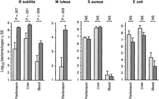 Figure 3. PGRP-S-/- mice have higher bacterial load following intraperitoneal infection withB subtilis and M luteus but not S aureus and E coli. PGRP-S+/+ (light gray bars) or PGRP-S-/- (dark gray bars) mice were injected intraperitoneally with 2 × 109 B subtilis (n = 9/group), 15 × 109 M luteus,4 × 108 S aureus, or 1.5 × 108 E coli (n = 8/group), and bacterial loads in tissue fluids and organs at 24 to 36 hours after challenge were determined. The significance of differences was calculated using the Mann-Whitney U test.