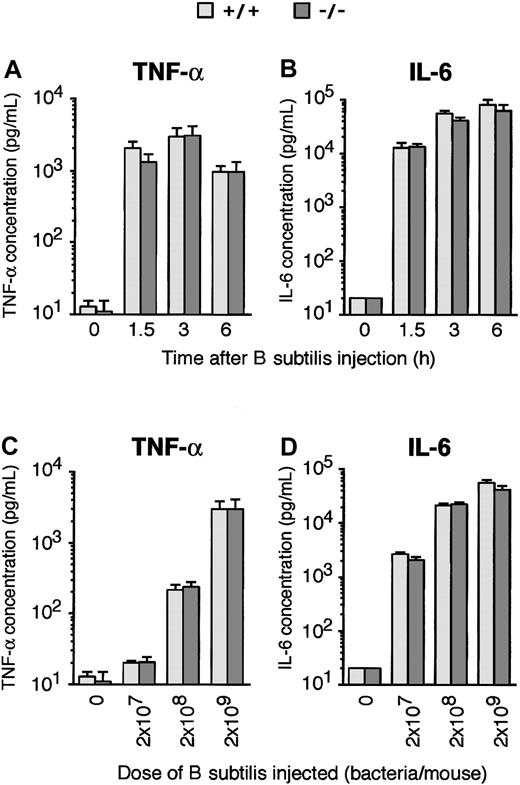 Figure 9. Similar induction of cytokines in PGRP-S-/- and PGRP-S-/- mice byB subtilis. Mice were injected intraperitoneally with 2 × 109 (A-B) or the indicated doses (C-D) of B subtilis, and the concentrations of TNF-α and IL-6 in their serum were assayed before (0 hour) and 1.5, 3, or 6 hours (A-B) or 3 hours (C-D) after the bacterial challenge. The results are geometric means ± SE of 8 mice per group. IL-6 at time or dose 0 was undetectable in any of the mice and is shown at the level of detection of the assay. There were no statistically significant differences between PGRP-S-/- and PGRP-S+/+ mice, calculated by Mann-Whitney U test.