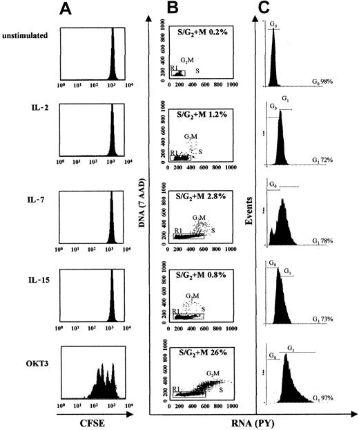 Figure 2. LV transduction of human lymphocytes does not require cell proliferation and correlates with cell cycle progression from G0 to G1b (A) PBLs labeled with CFSE were cultured in vitro as described in Figure 1. Cells were analyzed 96 hours later for CFSE intensity by flow cytometry. (B) DNA and RNA contents were measured by 7AAD and pyronin Y (PY) staining, respectively. Analysis was performed after 96 hours of culture. The percentage of cells in S/G2/M is indicated. The R1 gate, encompassing the G0/G1 population, was used for further analysis. (C) Histogram of RNA staining of R1-gated cells plotted for PY staining to distinguish G0 from G1 cells. The percentage of cells in G0 or in G1 is indicated. Data are representative of 3 experiments.