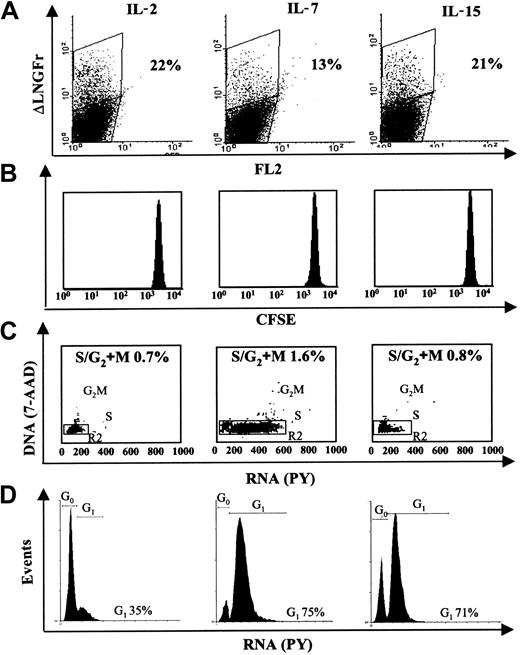 Figure 3. Resting lymphocytes stimulated with IL-2, IL-7, or IL-15 in the absence of TCR triggering are efficiently transduced by lentiviral vectors. Resting T lymphocytes were isolated and purified from healthy donors as described in “Materials and methods.” Cells were cultured in the presence of 10 U/mL IL-2, 5 ng/mL IL-7, or 10 ng/mL IL-15. After 96 hours of stimulation resting T lymphocytes were transduced by LV. (A) Expression of ΔLNGFr 96 hours after transduction. The percentage of positive cells is shown. Only viable cells, as assessed by propidium iodide (PI) exclusion, were analyzed. (B) Cells were labeled with CFSE before stimulation with cytokines and analyzed at the day of transduction for CFSE intensity by flow cytometry. (C) DNA and RNA contents at the day of transduction were measured by 7AAD and PY staining, respectively. The percentage of cells in S/G2/M phases is indicated. The R2 gate, encompassing the G0/G1 population was used for further analysis. (D) Histogram of RNA staining of R2-gated cells plotted for PY staining to distinguish G0 from G1 cells. The percentage of cells in G1 is indicated. Data are representative of 4 experiments.