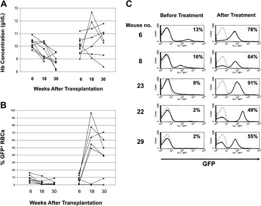 Figure 1. Amelioration of anemia in mice with β-thalassemic hematopoiesis after in vivo selection of Pro140Lys MGMT/GFP-transduced hematopoietic cells. (A) PB Hb concentrations (g/dL) are shown for the control, untreated mice (▪) and the group of mice treated with TMZ/BG (▴). Mice not surviving the treatment are indicated (⋄). Values at 6 weeks (baseline), 18 weeks (6 weeks after the final drug treatment), and 30 weeks (12 weeks following the final drug treatment) after transplantation are shown. The mean baseline values of Hb concentration for the entire group of treated mice and the 5 mice that responded to drug treatment did not statistically differ from those of the untreated group of animals (P = .55 and P = .52, respectively). (B) Percentage of GFP+ RBCs at the indicated times after transplantation for the control, untreated mice (▪) and the mice treated with TMZ/BG (▴). Mice not surviving the treatment are indicated (⋄). The mean baseline values of GFP+ RBCs for the entire group of treated mice and the 5 mice that responded to drug treatment did not statistically differ from those of the untreated group of animals (P = .61 and P = .99, respectively). (C) In vivo selection of Pro140Lys MGMT/GFP+ RBCs in TMZ/BG-treated mice. FACS histograms for GFP expression in RBCs are shown for the indicated drug-treated mice. The percentage of GFP+ cells is indicated in the upper right corner of each histogram. The left panels show pretreatment baseline analyses and the right panels show posttreatment analyses at 18 weeks after transplantation. The solid lines indicate the profiles for the experimental mice, whereas the dotted lines indicate the profile for a normal, negative control mouse.