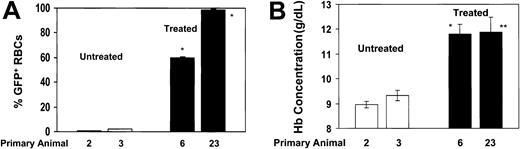 Figure 2. Secondary animals that received BM-cell transplants from responding, primary drug-treated animals demonstrate persistence of high levels of Pro140Lys MGMT/GFP+ RBCs and a corrected hematologic phenotype. Secondary transplantation experiments were performed by transplanting the BM cells flushed from the hind limbs of a primary animal into 3 secondary animals. (A) The percentages of Pro140Lys MGMT/GFP+ RBCs are shown in animals that received secondary transplants derived from control untreated animals (□; animals 2 and 3) and secondary animals derived from drug-treated animals that demonstrated in vivo selection (▪; animals 6 and 23). * indicates P < .0001 versus both control, untreated data sets. (B) PB Hb concentration in the same secondary recipients as shown in (A). * indicates P < .0084 versus both control, untreated data sets; **P = .038 versus untreated control 2 and P = .055 versus untreated control 3. Analysis was performed at 12 weeks after transplantation and all values represent the mean ± SEM.