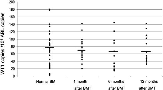Figure 1. Amount of WT1 transcripts found in the BM samples obtained from healthy controls with respect to those obtained in patients at 1, 6, and 12 months after BMT. The values are expressed as WT1 copies every 104 copies of ABL. The bars indicate the median values for each group. No statistically significant differences were observed.