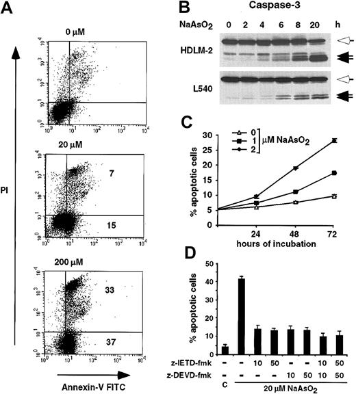 Figure 2. Induction of apoptosis by NaAsO2 in HRS cell lines.(A) L540 cells were incubated for 20 hours with 0, 20, or 200 μM NaAsO2, as indicated. Cells were stained with annexin V–FITC and PI and analyzed by fluorescence-activated cell sorter (FACS) analysis. The percentage of annexin V+ cells relative to the untreated cells is indicated. (B) HDLM-2 and L540 cells were treated with 20 μM arsenite. At the indicated times whole cell lysates were prepared and analyzed for cleavage of caspase-3 by Western blotting. The full-length protein (open arrows) and the cleavage products (closed arrows) are indicated. (C) HDLM-2 cells were treated with 0 (▵), 1 (▪), or 2 (⋄) μM NaAsO2. After 24, 48, and 72 hours, the fraction of annexin V–FITC+ cells was determined by FACS analysis. Error bars denote SDs. (D) Inhibition of NaAsO2-induced apoptosis by blockage of caspase-8– or caspase-3–like activity. Prior to the incubation with 20 μM NaAsO2, HDLM-2 cells were treated with various concentrations of the caspase-8 inhibitor z-IETD-fmk and/or the caspase-3 family inhibitor z-DEVD-fmk, or, as control (C), dimethyl sulfoxide (DMSO) alone. After 20 hours of treatment with NaAsO2, the percentage of apoptotic cells was determined by acridine orange staining. Error bars denote SDs.
