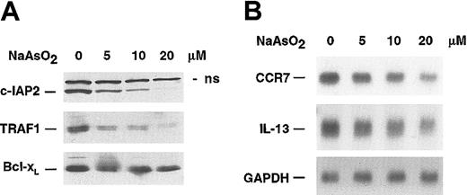 Figure 3. Regulation of NF-κB–dependent target genes by NaAsO2 HDLM-2 cells were treated for 20 hours with the indicated concentrations of NaAsO2. (A) Whole cell lysates were analyzed by Western blotting for the expression of c-IAP2, TRAF1, and Bcl-xL; n.s. indicates nonspecific. (B) Total mRNA was analyzed by Northern blotting for expression of CCR7, IL-13, and GAPDH.