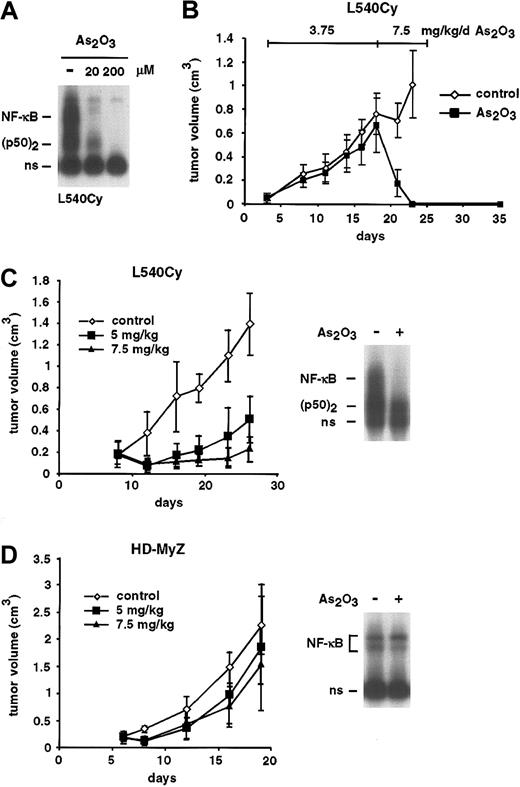 Figure 6. Remission of L540Cy Hodgkin tumors in a NOD/SCID mouse model after treatment with As2O3. (A) L540Cy cells were treated for 8 hours with the indicated concentrations of As2O3. Whole cell lysates were analyzed for NF-κB DNA binding activity by EMSA. Free DNA probe is not shown; ns indicates nonspecific. (B) L540Cy tumor cells were xenotransplanted in NOD/SCID mice. Mice with palpable tumors were treated for 15 days with PBS (⋄, control; n =6) or 3.75 mg/kg As2O3(▪, n =6) intravenously daily and thereafter for another 8 days with 7.5 mg/kg/d. The tumor volume is indicated. (C-D) Palpable L540Cy (C) or HD-MyZ (D) tumors in NOD/SCID mice were treated with either PBS (⋄, n =6) or 5 (▪, n =6) and 7.5 (▴, n =6) mg/kg/d As2O3intravenously, beginning on day 8 after transplantation. Right panels: modulation of NF-κB activity in L540Cy and HD-MyZ tumor cells in vivo. Animals of the control group were treated on day 24 (L540Cy) or day 18 (HD-MyZ) with PBS alone or with 7.5 mg/kg As2O3intravenously. Tumors were explanted 6 hours after As2O3application. Whole cell extracts of the tumor material were analyzed by EMSA for NF-κB DNA binding activity. Free DNA probe is not shown; ns indicates nonspecific.