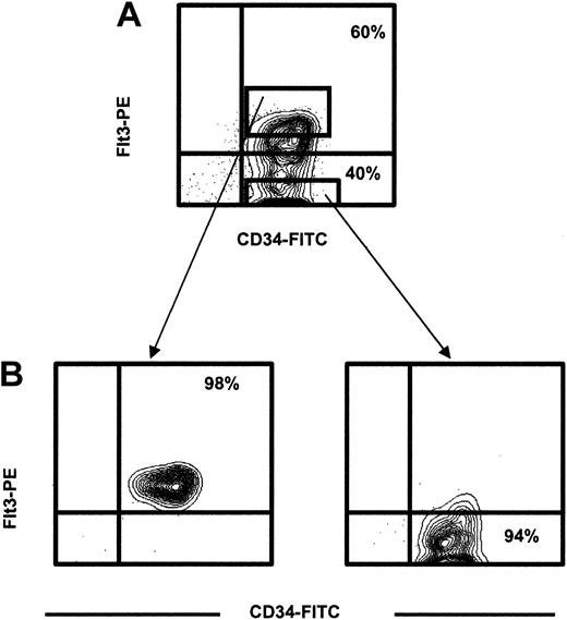 Figure 1. Identification and purification of CD34+flt3+and CD34+flt3-cells. (A) CD34-enriched cells were stained with an anti-flt3 or an irrelevant control antibody. CD34+flt3+and CD34+flt3-cells were sorted using the indicated sort gates. Figure shows representative profile for adult bone marrow. (B) Purity analysis of sorted populations.