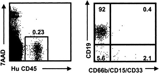 Figure 3. Human multilineage reconstitution of NOD/SCID mice with CD34+flt3+CB cells. Representative human reconstitution and lineage analysis of a mouse that received 2500 CD34+flt3+CB cells 6 weeks before analysis. Mouse shows low (0.23%) levels of human (CD45) engraftment but significant human B (CD19) and myeloid (CD66b/CD15/CD33) reconstitution.