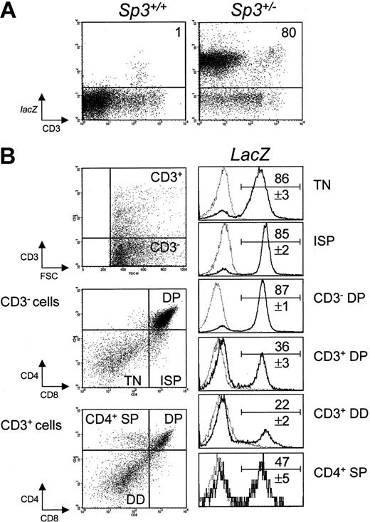 Figure 1. Analysis of lacZ expression in thymocytes from Sp3+/- embryos by 4-color cytometry. Thymus cell suspensions were loaded with FDG substrate and subseqently stained for CD3, CD4, and CD8. (A) Total thymocytes were analyzed for CD3 expression and lacZ activity. (B) Cells were analyzed for CD3 expression; CD3- and CD3+ fractions were analyzed for CD4 and CD8; and the indicated subpopulations were gated and analyzed for lacZ activity. The results are displayed as histograms of Sp3+/- embryos (bold lines), together with those of wild-type embryos (dashed lines). The numbers are the proportions of lacZ-expressing cells (mean values ± SD, n = 6). Background values in wild-type mice (n = 4) were below 1% in all fractions, except for the CD3+ double-dull (DD) fraction, in which 3% ± 1% of the cells were lacZ+.