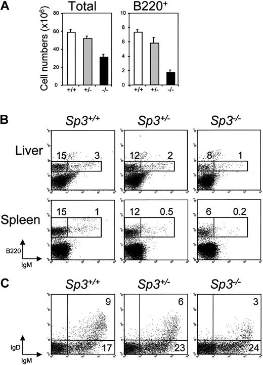 Figure 3. Impaired B-cell development in embryos lacking Sp3. (A) Numbers of total cells and B220+ cells in E18.5 liver of the indicated embryos, as determined by flow cytometry. (B) Flow cytometric analyses of the liver and spleen of the individual embryos. Single-cell supsensions were stained with B220 and IgM. Results are displayed as dot plots of lymphocyte gate cells; percentages of cells within the indicated gates are given. (C) Developmental progression of B-lineage cells in vitro. Total BM cells were cultured in the presence of IL-7 for 5 days, and recultured on S17 stromal cells in the absence of IL-7 to induce the formation of mature IgM+IgD+ B cells. Cultured cells were stained for B220, IgM, and IgD. Results are displayed as B220 versus IgD dot plots. Data shown are from 4 to 15 embryos examined in each group.
