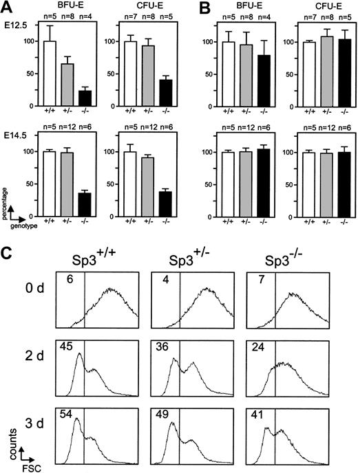 Figure 5. Sp3-deficient erythroid cells display a cell-autonomous differentiation defect. (A) The number of BFU-Es and CFU-Es per E12.5 and E14.5 fetal liver was determined for embryos with the indicated genotypes and gestational ages. The values in wild-type embryos were set at 100%. (B) Abundance of BFU-Es and CFU-Es in E12.5 and E14.5 Sp3-deficient embryos corrected for the cellularity of fetal livers. Wild-type values were set at 100%. (C) Fluorescence-activated cell sorter (FACS) analysis of fetal liver cells that were allowed to differentiate in vitro during 0, 2, and 3 days, using the suspension culture system. As the cells progress through maturation, they become smaller. Enucleated cells with small FSC values (lower than 360, as indicated) appear during culture at days 2 and 3.