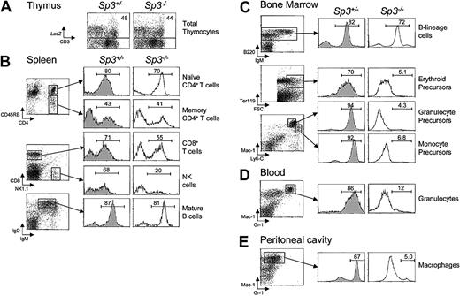 Figure 7. Absence of erythroid and myeloid repopulation by Sp3-/- fetal liver cells in an in vivo transplantation assay. (A) Analysis for CD3 expression and lacZ activity in total thymocytes from Sp3+/- and Sp3-/- transplant recipients. (B-E) Total cell suspensions from spleen (panel B), bone marrow (panel C), peripheral blood (panel D), and peritoneal cavity (panel E) were analyzed for lymphoid-, erythroid-, or myeloid-specific marker expression (left). In Sp3+/- and Sp3-/- transplant recipients, the indicated subpopulations were gated and analyzed for donor-derived lacZ expression (right). The results for transplanted Sp3-/- cells are from the animal in which the highest percentages of lacZ+ cells were observed. LacZ expression data are displayed as histograms; the numbers are the proportions of lacZ+ cells in which background values in wild-type mice were lower than 4%.