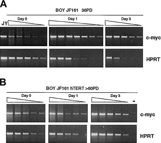 Figure 7. Expression of c-myc upon activation. BOY JF161 T cells (after approximately 36 PD, A) and long-term–cultured BOY JF161-TERT T cells (after more than 60 PD, B) were stimulated with anti-CD3 and anti-CD28 mAbs, and c-myc expression was determined at day 1 and day 3 after stimulation. Day 0 indicates unstimulated cells. c-myc and HPRT PCR reactions were run in parallel on a 1:2 dilution range of the cDNA samples as indicated by the triangles above the lanes. The increase in c-myc expression after activation relative to unstimulated cells (day 0) was quantified by comparing the relative peak intensity of c-myc PCR products at equal intensity of HPRT amplification.