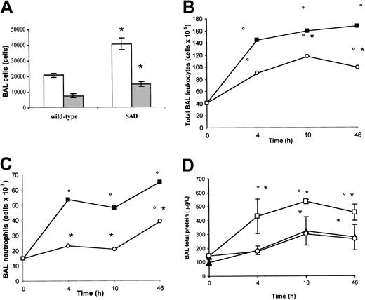 Figure 2. BAL cells and proteins in normoxia, hypoxia/reoxygenation and effects of inhaled NO. (A) the BAL total leukocyte (white bars) and neutrophil (gray bars) counts in wild-type and transgenic sickle SAD mice under normoxia conditions (n = 12 in each group) are reported. (B-D) BAL total leukocyte count, neutrophil count, and total protein content in wild-type mice (closed triangles), in SAD mice exposed to hypoxia/reoxygenation alone (open boxes), and in SAD mice breathing inhaled NO (open circles) (n = 6 in each group). Values are expressed as means + SEMs. *P < .05 compared with baseline, °P < .05 hypoxia/reoxygenation versus hypoxia/reoxygenation plus NO, as determined by ANOVA with post hoc Bonferroni corrected t test.