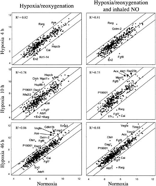 Figure 4. Gene expression in lung of SAD mice exposed to variable time hypoxia followed by 2 hours reoxygenation and effects of inhaled NO. On the left, the xy-scatterplots display the pair-wise comparison between gene expression levels in lungs of SAD mice control group (x axis) and that of SAD mice exposed to the indicated times of hypoxia followed by 2 hours reoxygenation (y axis). On the right, the xy-scatterplots display the pair-wise comparison between gene expression levels in lungs of SAD mice control group (x axis) and that in lungs of SAD mice exposed at the indicated times hypoxia followed by 2 hours reoxygenation breathing NO (y axis). Both x and y values represent the log2 expression level of the same genes in the different experimental conditions (groups). The central line is the least squares regression line (Y = b + ax), and the upper and lower lines are obtained by the respective addition and subtraction to the regression line equation of the standard deviation of residuals multiplied by 1.96. The Pearson correlation value (R2) for each comparison is indicated. Spots outside the upper and lower lines represent the genes upor down-regulated with respect to SAD baseline, respectively (described in “Materials and methods”).