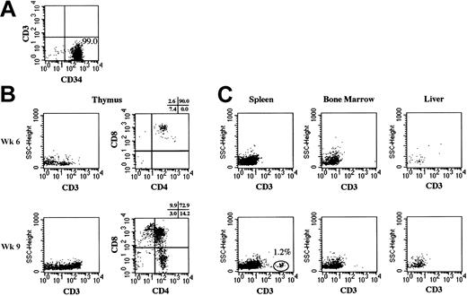 Figure 3. Human T cells in various organs of NOD/SCID/γcnull mice that underwent transplantation with CB Lin- CD34+cells. Human CD3+cells in thymus, spleen, bone marrow, and liver were analyzed using flow cytometry at 6 and 9 weeks after the transplantation of 5 × 104 CB Lin- CD34+cells. (A) The purity of Lin- CD34+cells was evaluated using flow cytometry. (B) Expressions of human CD3, CD4, and CD8 on human CD45+cells in thymus are shown. (C) Expressions of human CD3 on human CD45+cells in spleen, bone marrow, and liver are shown.