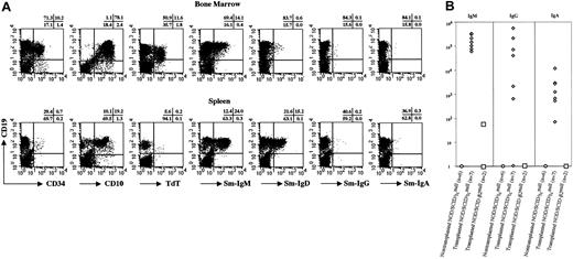 Figure 4. B-cell development in NOD/SCID/γcnullmice that underwent transplantation with CB CD34+ cells. (A) Surface expressions of CD34, CD10, CD19, IgM, IgD, IgG, and IgA and intracellular expression of TdT were examined after setting a gate on the human CD45+population. (B) Human IgM, IgG, and IgA concentrations in plasma of NOD/SCID/γcnull and NOD/SCID-β2mnull mice that underwent transplantation with 4 × 104 CB CD34+ cells were measured by ELISA.