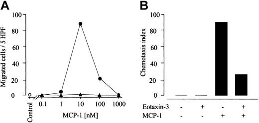 Figure 3. Effect of eotaxin-3, MCP-1, and MIP-1β on ERK activation. Activated ERK was determined by Western blot analysis. Freshly isolated monocytes were stimulated with chemokines for the indicated times and phosphorylated ERK was detected with an antibody against diphospho-ERK. (A) Eotaxin-3 does not induce ERK phosphorylation. Cells were stimulated with MCP-1 (100 nM), MIP-1β (100 nM), or eotaxin-3 (300 nM) for the indicated times (upper blots). (B) Eotaxin-3 inhibits MCP-1–induced ERK phosphorylation. ERK phosphorylation in monocytes on MCP-1 (10 nM) stimulation for the indicated times is shown in the left panel. In the central and right panels the cells were treated with MCP-1 (10 nM) or eotaxin-3 (300 nM) for 3 minutes, and then stimulated with MCP-1 (10 nM) for 1 minute. To confirm equal loading, the blots were subsequently stripped and reprobed with an antibody directed against total ERK (lower blots).