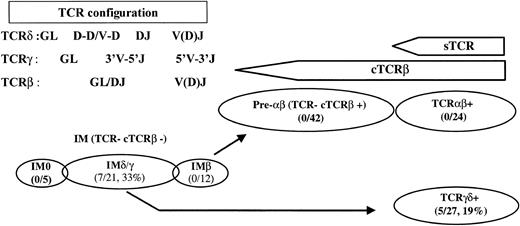 Figure 1. Categories of T-ALL. T-ALLs were divided into 3 major immunophenotypic categories: (1) αβ lineage cases (n = 66), which include cases expressing TCRαβ (n = 24) and pre-αβ T-ALLs, which are TCR- but express cTCRβ+ (n = 42); (2) T-ALLs expressing TCRγδ (n = 32); and (3) immature (IM) T-ALLs, which are TCR- and cTCRβ - (n = 46). IM T-ALLs were classified on the basis of their TCRδ, TCRγ, and TCRβ gene configurations. IM0 cases demonstrate a germline configuration at all 3 loci and include the most immature, nonlineage-restricted cases. Progressive T-lymphoid restriction is associated with TCRδ rearrangement (IMδ), followed by TCRγ and incomplete TCRβ DJ in IMγ, and finally by complete TCRβ V(D)J rearrangement in IMβ, the immediate precursors of αβ lineage T-ALLs.16 The incidence of CALM-AF10 in 131 unselected T-ALLs in each subgroup is indicated. sTCR indicates surface TCR; cTCR, cytoplasmic TCR; GL, germline.