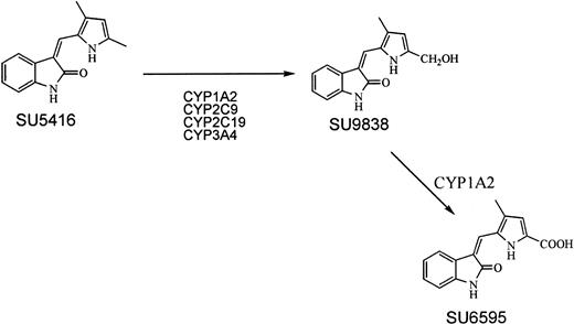 Figure 1. Metabolism of SU5416.