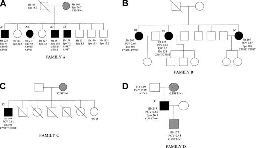 Figure 1. Pedigrees of the 4 families with the 598C> T mutation. Circles denote female family members, squares denote male family members, and symbols with a diagonal line indicate deceased family members. Black symbols indicate individuals with erythrocytosis and shaded symbols, nonerythrocytosis carriers for the 598C>T mutation. The genotype of individuals is indicated by wt (normal) and 598C>T for mutant. Hemoglobin level (g/L), PCV, red blood cell count (RBC), and Epo (mU/mL) values are given when known.