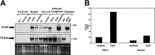 Figure 7. Expression and function of TLRs in transformed B cells. (A) Total RNA was isolated from transformed cell lines representing B cells at various stages of differentiation. RNA (7 μg) was subjected to Northern analysis employing a radiolabeled probe complementary to TLR9 (top) and TLR10 (middle). Ribosomal RNA was used as the loading control (bottom). The electrophoretic mobility of the 18S and 28S subunits of ribosomal RNA is indicated. These results are representative of 2 independent experiments. (B) DHL-4 and Karpas cell lines were seeded in a 24-well plate (0.5 × 109 cells/L) in complete RPMI. Cells were stimulated for 24 hours with CpG DNA (2006) (0.6 μg/mL). Supernatants were removed from cells and analyzed for chemokine production by ELISA. Results are expressed in pg/mL (mean ± SEM) and are representative of 2 independent experiments.
