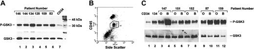 Figure 2. Activation of Akt kinase in AML cells. (A) Cells from pheresis pack were thawed, washed, and immediately lysed. Lysates were analyzed for activated Akt kinase using an in vitro kinase assay as described in “Materials and methods.” CD34+ cells were purified as described and used as a control. Presence of phosphorylated GSK3 in the kinase reaction was detected by Western blotting using an anti–phospho-GSK3 antibody. To ensure that substrate was not lost in handling, blot was stripped and reprobed using an antibody that recognized total GSK3 (lower panel). (B) Patient samples were thawed, washed, and suspended in FACS buffer. Cells were stained with anti-CD45 antibody and analyzed for the presence of CD45+ side scatter intermediate cells. A representative dot plot is shown. Blast cells are within the gated population indicated by the circle. (C) Blast (B) and other cells (O) were sorted into separate populations. Cells were lysed immediately after sorting and Akt kinase assay performed as above. Samples from patient no. 134, which contains 98% blasts, were sorted in parallel and used as a control (lane 2).