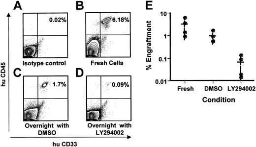 Figure 4. Leukemic stem cells may require PI3 kinase for survival. Leukemic patient cells were thawed and rested for 2 hours in serum-free medium. Viable cells were counted and divided into 4 groups. One group of cells was injected immediately into NOD/SCID animals, with 5 × 106 mononuclear cells injected per animal (fresh cells). The 3 remaining groups were incubated overnight in serum-free medium containing cytokines and either nothing additional (not shown), 0.1% DMSO, or LY294002 at 25 μg/mL in DMSO. Cells from these 3 groups were injected into irradiated NOD/SCID animals after a 16-hour incubation. Animals were observed for 7 weeks, humanely killed, and analyzed for engraftment. Total bone marrow cells were harvested, red blood cells removed, and remaining cells stained with antibodies to human CD45 (y-axis) and human CD33 (x-axis). Corresponding stains for human CD19 were negative. (A-D) Contour plots of engraftment of CD45+/CD33+ cells in a representative experiment. Engrafted cells are in the upper right quadrant of each panel, and percentage of human cells is indicated by inset number. (E) Graph of individual results and averages (medians indicated by horizontal bars) from 4 separate animals in each group. Each point represents a single animal. Averages are average engraftment for the 4 animals in each cell treatment group.