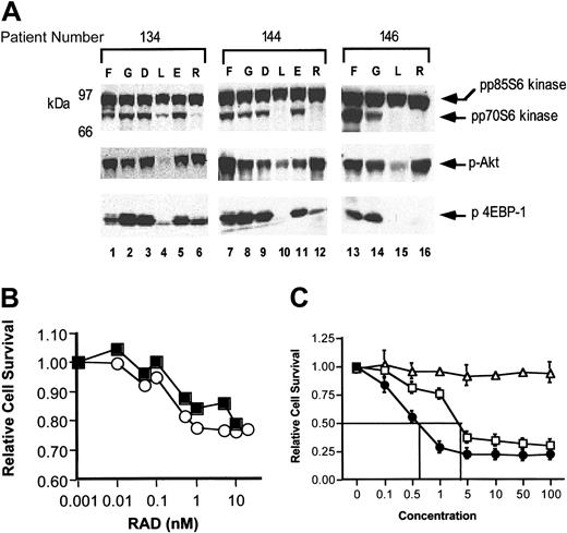Figure 5. Activation of other PI3 kinase–dependent signaling proteins. (A) Cells from patient collections were thawed, washed, and either immediately lysed in 1% Triton X-100 lysis buffer (lanes 1, 7, 13) or incubated in cytokine-free, serum-free medium for 4-16 hours in the absence of added compounds (lanes 2, 8, 14), in 0.1% DMSO (lanes 3 and 9), 0.1% ethanol (lanes 5 and 11), 25 μM LY294002 in DMSO (lanes 4, 10, 15), or 10 nM RAD001 in ethanol (lanes 6, 12, 16). After incubation, cells were lysed and 100 μg protein per lane analyzed using SDS-PAGE and Western blotting. Protein phosphorylation and expression were examined using indicated antibodies. In top panel, upper band is the p85 isoform of S6 kinase, which is constitutively expressed and phosphorylated in all samples. This band acts as a loading control. The blot was cut horizontally and the lower portion probed for phospho–4EBP-1 (lower panel). The upper panel was stripped and reprobed for phospho-Akt (middle panel). F indicates fresh; G, growing; D, DMSO 0.1%; L, LY294002 25 μM; E, ethanol 0.1%; and R, RAD001 10 nM. (B) Leukemic samples were thawed and incubated in serum-free medium with cytokines for 48 hours in varying concentrations of RAD001 as shown. Relative cell survival was measured using an XTT assay. ▪ indicates patient no. 111; ○, patient no. 88. (C) Cell line U937 cells were incubated in the presence of 10 nM RAD001 alone (▵),Ara-C alone (□), or Ara-C with 10 nM RAD001 (•). Relative cell survival was measured after 48 hours using an XTT assay. Error bars indicate SDs from 3 experiments.