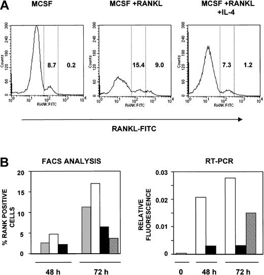 Figure 7. IL-4 inhibits the surface expression of RANK in osteoclast precursors. (A) Osteoclast precursors from wild-type mice were cultured for 72 hours in the presence of rmM-CSF (20 ng/mL), rmM-CSF (20 ng/mL) and RANKL (150 ng/mL) or rmM-CSF (20 ng/mL), RANKL (150 ng/mL), and 10 ng/mL rmIL-4, respectively. Cells were stained using FITC-RANKL and were analyzed by flow cytometry for RANK expression. These data reflect RANK expression on the cell surface in one representative experiment. RANK-positive cells were divided into low- and high-expressing cells based on fluorescence intensity; the numbers in each column indicate the percentages of cells expressing low and high levels of RANK. (B) Osteoclast precursors from wild-type mice were cultured in the presence or absence of rmM-CSF (20 ng/mL), RANKL (150 ng/mL), and rmIL-4 (10 ng/mL) for 48 hours. For one group, media were removed. After several washes with complete media, new media were added to the cells containing rmM-CSF (20 ng/mL) and RANKL (150 ng/mL) for another 24 hours, as indicated. After that, cells were harvested and analyzed. The left graph represents the percentage of RANK-expressing cells analyzed by flow cytometry using FITC-RANKL at 48 and 72 hours. Mean percentages from 2 independent experiments are shown. The right graph represents the ratio values in arbitrary fluorescent units for RANK versus actin mRNA using Light-cycler PCR, with the same methodology as used in Figure 6. ▦ indicates rmM-CSF; □, rmM-CSF + RANKL; ▪, rmM-CSF + RANKL + IL-4; and ▧, IL-4 washout at 48 hours.