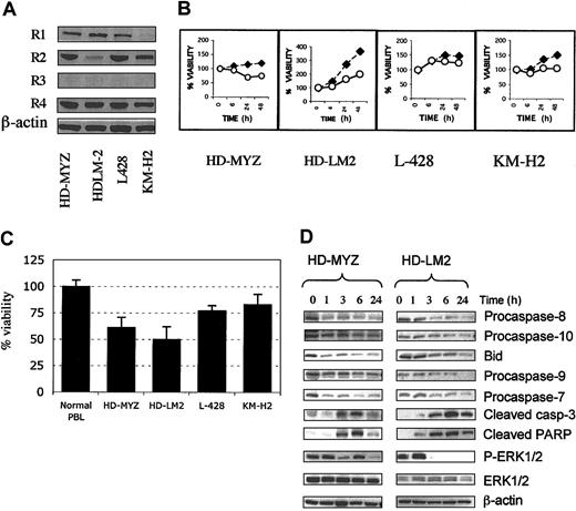 Figure 5. Activity of APO2L/TRAIL on 4 Hodgkin disease cell lines. (A) Western blot analysis of the TRAIL receptor expression in HD cell lines. The TRAIL death receptors R1 and R2 were expressed in all cell lines (R1 was weakly expressed in KM-H2). The decoy receptor R4 but not R3 was also expressed in all 4 HD cell lines. (B) A representative experiment demonstrating APO2L/TRAIL–induced apoptosis in HD cell lines. Cells were incubated with 1 μg/mL TRAIL for 48 hours, and cell viability was determined by MTS assay. ⋄ indicates RPMI; ○, TRAIL. (C) Summary data showing TRAIL activity in HD cell lines. Data for each cell line and normal peripheral blood lymphocytes represent a mean (± SEM) of at least 3 independent experiments performed in triplicate. The viable cell number was determined by MTS assay after 48 hours of incubation. TRAIL was most effective in the HD-MYZ and HD-LM2 cell lines. (D) In the 2 sensitive cell lines, APO2L/TRAIL activated caspases 8, 10, 9, 7, and 3 and cleaved BID and PARP. APO2L/TRAIL also inhibited the phosphorylation of ERK without significant effect on the total amount of ERK in these 2 cell lines.