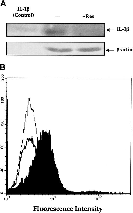 Figure 4. Effect of resveratrol on IL-1β (A) Effect of resveratrol on the production of IL-1β by OCIM2 cells. Cells were incubated in RPMI 1640 supplemented with 10% FCS in the presence or absence of 25 μM resveratrol (Res). The amount of mature IL-1β protein produced by these cells was then assessed by Western immunoblotting. The arrows point to the 17.5-kDa mature IL-1β protein and β actin. The first lane (control) shows commercially available, pure, mature IL-1β protein, the second lane shows protein from cells incubated in tissue culture medium, and the third lane shows protein from cells incubated with resveratrol. (B) Effect of resveratrol on membrane-bound IL-1β. OCIM2 cells were incubated in the presence and absence of resveratrol as described. The level of membrane-bound IL-1β was measured by flow cytometry; thin line denotes isotypic control; filled histogram, untreated cells; and thick line, cells treated with resveratrol.