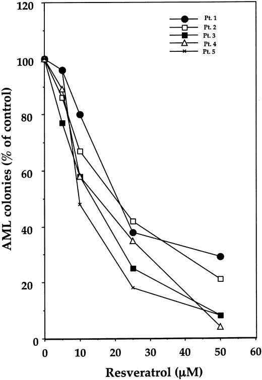 Figure 10. Effect of resveratrol on leukemia colony-forming cell proliferation of fresh AML cells from 5 patients. After fractionation of adherent cells and depletion of T lymphocytes, remaining cells were cultured in a clonogenic assay with resveratrol at concentrations ranging from 5.0 to 50 μM. AML colonies are presented as percentages of control. (The mean numbers of colonies obtained from patients 1 through 5 in the absence of resveratrol were 65, 196, 153, 256, and 549, consecutively.)