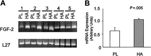 Figure 3. HA induces FGF-2 mRNA expression by HCs. Panel A shows RT-PCR analysis of FGF-2 and L27 (a housekeeping gene) mRNA from the malignant cells of 5 patients with HCL. The cells were cultured for 3 hours on HA-coated (HA) or uncoated plastic (PL). Panel B is a graphic representation of the data shown in panel A, where the intensities of the FGF-2 bands (mean ± 1 SD) were measured by densitometry and normalized against the loading control (L27).