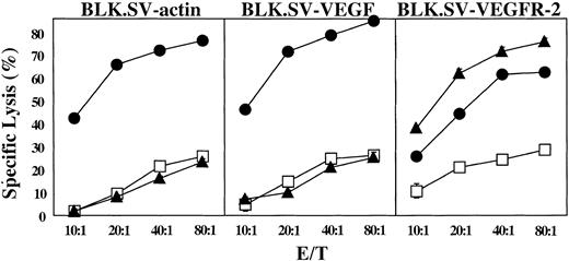 Figure 1. Induction of CTLs in mice immunized with DCs transfected with VEGF and VEGFR-2 mRNA. DCs generated from C57BL/6 mice were electroporated with VEGF (▪), VEGFR-2 (▴), or actin (□) mRNA, and naive, syngeneic mice were immunized with 5 × 105 cells 3 times intravenously. Splenocytes were harvested, restimulated with DCs transfected with RNA (same as used in the immunization) for 5 days, and tested for the presence of CTLs. BLK.SV cells (BL/6 fibroblasts transformed with SV40) transfected with mRNA as indicated were used as targets. Data are expressed as mean percent specific lysis of triplicate samples ± SD.