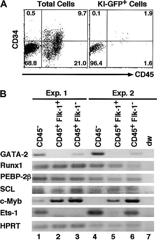 Figure 4. GATA-2 is expressed in CD45- cells in the primary cultured AGM region. (A) Flow cytometric analysis of 7-day–cultured AGM cells of KI-heterozygous embryos. (B) RT-PCR analysis of the cells in each sorted fraction from the primary culture of the wild-type AGM cells. Representative results of 2 of 4 mRNA analyses are shown.