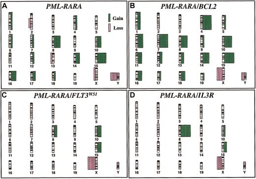 Figure 1. The distribution of chromosomal abnormalities in murine leukemias. The distribution of chromosomal abnormalities in (A) PML-RARA, (B) PML-RARA/BCL2, (C) PML-RARA/FLT3W51, and (D) PML-RARA/IL3R (βcV449E) mice reveals a defined spectrum of numeric abnormalities. Chromosome gain is depicted by green bars on the right of each chromosome, and chromosome loss is depicted by pink bars on the left. Each bar represents a single case.