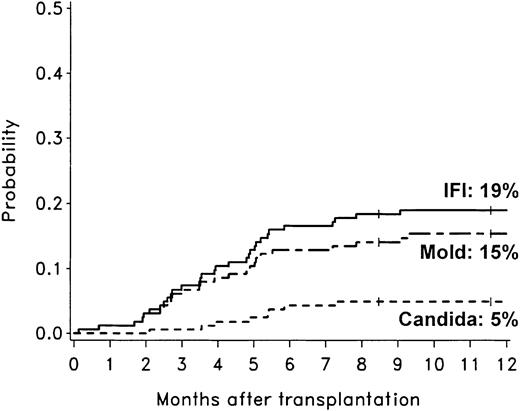 Figure 1. Cumulative incidence rates of invasive fungal infections among 163 patients after allogeneic HCT with nonmyeloablative conditioning. The 1-year cumulative incidence rates of invasive fungal infections (IFI; solid line), invasive mold infections (dashed line), and invasive candidiasis (dotted line) were 19%, 15%, and 5%, respectively. Ticks on probability lines indicate dates of censoring at last follow-up.