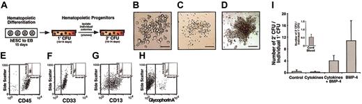 Figure 5. Self-renewal and expansion of hematopoietic progenitors from differentiated hESCs revealed by secondary colony formation. (A) Colonies derived from primary hematopoietic progenitors (1′ CFU) were isolated and placed into secondary colony forming assays (2′ CFU) to assess the self-renewal and expansion capacities of hES-derived hematopoietic progenitors. (B-D) Morphologies of typical secondary colonies, including macrophage (B), granulocyte (C), and erythroid (D) colonies; scale bar measures 100 μm. (E-H) Flow cytometry of pooled secondary CFUs, representing all 2′ CFU subtypes as indicated by staining with CD45, CD33, CD13, and glycophorin A. Markers for positive cells were determined based on isotype controls (inset). (I) The number of 2′ CFUs arising from individual 1′ CFU following 2′ CFU assay (± SEM), indicating the magnitude of progenitor expansion. The inset shows the 2′ CFU formation from primary CB CFU after plating individual or pooled colonies into 2′ CFU assays. Progenitor expansion occurs when the 2′ CFU output is greater than the 1′ CFU input. The magnitude of progenitor expansion was calculated from plating between 1 to 5 individual primary CFUs, corrected to an input of one individual primary CFU.