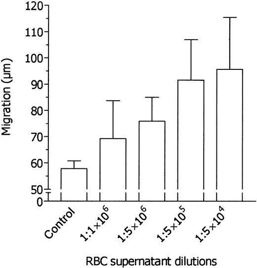 Figure 2. Dose-dependent induction of neutrophil migration by various dilutions of RBC supernatant. Neutrophils were incubated in the upper compartment of a chemotaxis chamber in medium, and their locomotory response in the absence or presence of various dilutions of RBC supernatant in the lower compartment was tested after 45 minutes' incubation. Results are expressed as mean ± 1 SD of 3 experiments with neutrophils from different donors.