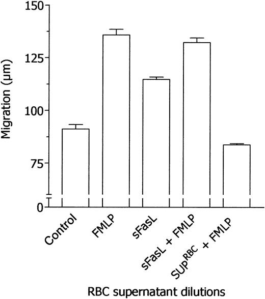 Figure 4. Failure of sFasL to desensitize neutrophils to the subsequent stimulation by FMLP. Locomotory activity of neutrophils incubated in the upper compartment of a chemotaxis chamber with medium and exposed in the lower compartment for 45 minutes to medium (Nil), 10 nM FMLP (FMLP), or 0.1 nM sFasL was compared with locomotory activity of cells incubated in the upper compartment with 10 nM sFasL (sFasL + FMLP) or RBC supernatant (1:1 × 105, vol/vol dilution, SUP-RBCs + FMLP) and exposed in the lower compartment to 10 nM FMLP. Results are expressed as mean ± 1 SD of 3 experiments with neutrophils from different donors.