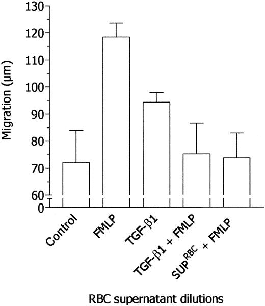 Figure 5. Desensitization of neutrophil response to FMLP by TGF-β1. Locomotory activity of neutrophils incubated in the upper compartment of a chemotaxis chamber with medium and exposed in the lower compartment for 45 minutes to medium (Nil), 10 nM FMLP (FMLP), or 40 fM TGF-β1 was compared with locomotory activity of cells incubated in the upper compartment with 40 fM TGF-β1 (TGF-β1 + FMLP) or RBC supernatant (1:1 × 105, vol/vol dilution, SUP-RBCs + FMLP) and exposed in the lower compartment to 10 nM FMLP. Results are expressed as mean ± 1 SD of 3 experiments with neutrophils from different donors.