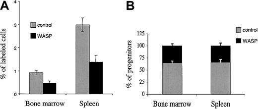 Figure 1. Reduced homing capacity of WASP-deficient bone marrow cells as compared with wild-type cells. Lethally irradiated female mice received transplants of a mixture of 10 × 106 wild-type and 10 × 106 WASP-deficient bone marrow cells. The bone marrow cells were stained with 2 different dyes: wild-type mice were stained with CSFE, and WASP-deficient cells with PKH26, or vice versa. (A) At 24 hours after the graft, bone marrow and spleen were harvested from each recipient, and nucleated cells were analyzed by flow cytometry to evaluate the proportion of red and green cells in the 2 hematopoietic tissues. Results shown are means ± SD of 4 experiments done with 3 mice in each group. (B) Bone marrow and spleen cells of recipient mice were used for progenitor assays, and 20 colonies per mouse were picked and monitored by Y and neo PCR to determine the origin of the cell that gives rise to the colony. Seven recipient mice were analyzed, and 40 colonies per mouse were harvested (20 from the bone marrow and 20 from the spleen; a total of 140 colonies from the bone marrow and 140 from the spleen were analyzed). Results shown are means ± SD of 7 analyzed mice.
